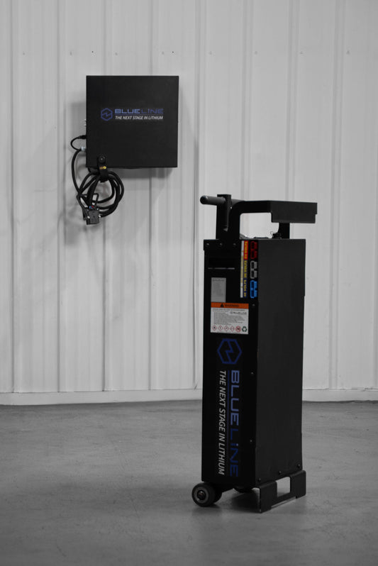 P3 Portable Power Pack (Lithium-Ion Battery)